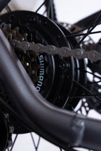 FlexiBike Fold 1 Ebike