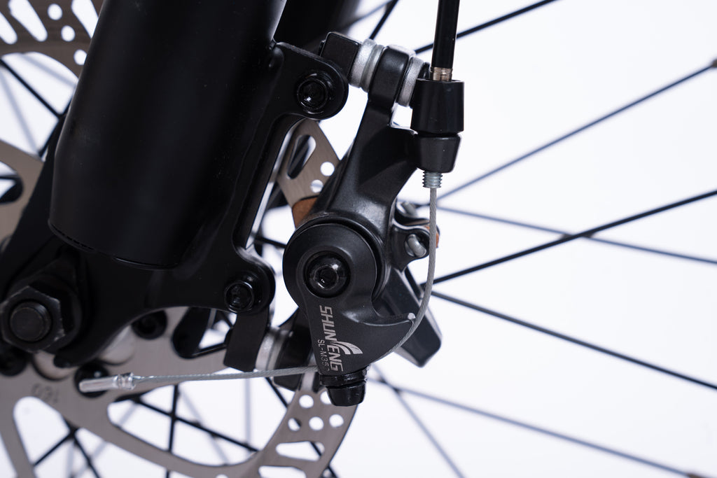FlexiBike Fold 1 Ebike