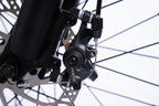 FlexiBike Fold 1 Ebike