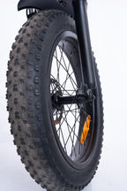 FlexiBike Fold 1 Ebike