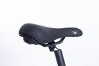 FlexiBike Fold 1 Ebike