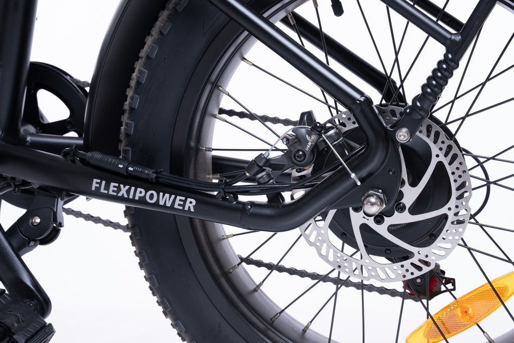 FlexiBike Fold 1 Ebike